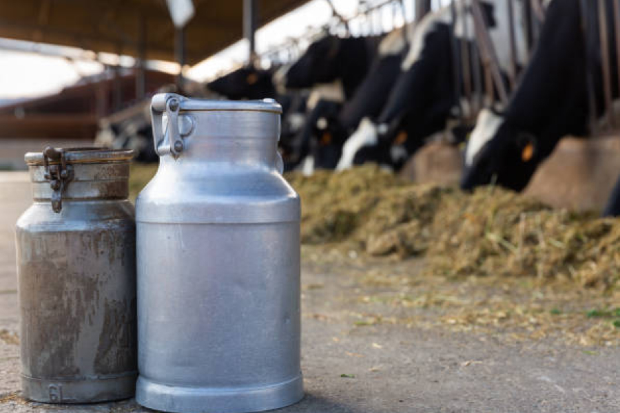 Ціни на газ можуть зупинити молочне виробництво — думка