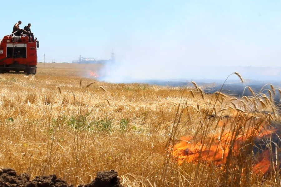 В Туреччині пожежа знищила сільськогосподарські угіддя