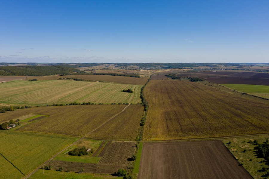 Іноземці зможуть купувати в Україні землю через 10 років  — думка