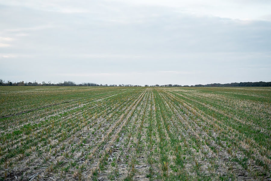 Бронювання в агросекторі: Мінекономіки суттєво посилило критерії для визначення критично важливих підприємств