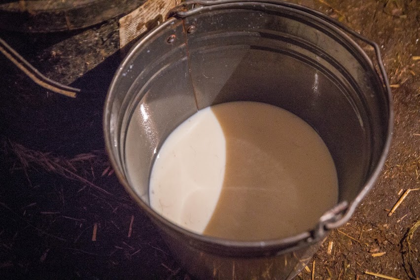 Селяни створили новий молочний кооператив на Хмельниччині