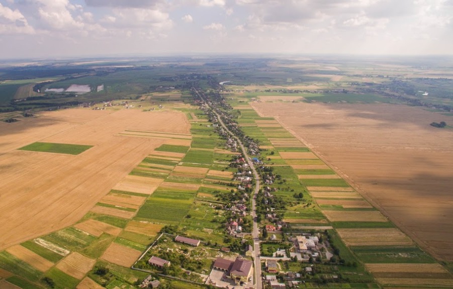 Після відкриття ринку землі українці зможуть приватизувати землю двома способами — юрист