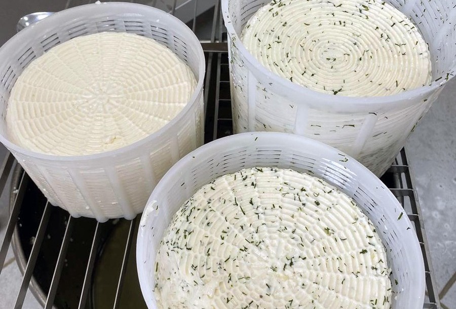 Виробництво сиру