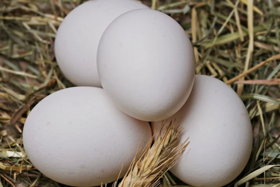 Ціна на яйця може злетіти до 100 гривень — думка